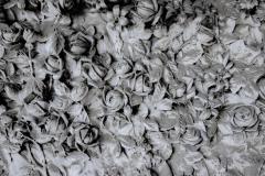 certosa-officinale