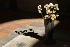 certosa3