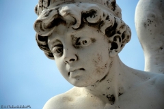 19c