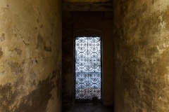 Gambetti_Anna-_la-Certosa20230318_0782