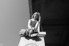 DSCF6638