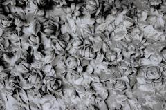 3-AG-IMG_1636