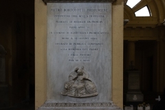 5-AG-IMG_1685