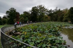 IMG_20221002_134050