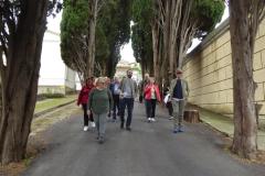 trespiano-1
