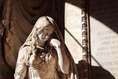 IMG_0068_lr