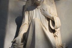 IMG_0135_lr