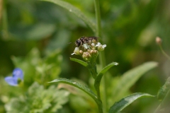 CSC_0471