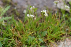 CSC_0508