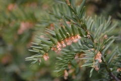 CSC_0569
