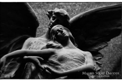 foto-certosa-di-mauro-squiz-daviddi-_-_04