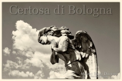 foto-certosa-di-mauro-squiz-daviddi-_-_06