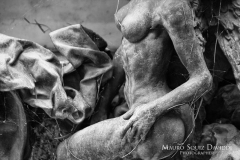 foto-certosa-di-mauro-squiz-daviddi-_-_15